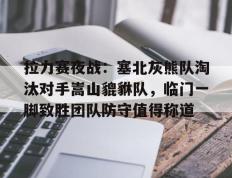 旺财28-包含拉力赛夜战：塞北灰熊队淘汰对手嵩山貔貅队，临门一脚致胜团队防守值得称道的词条