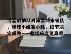 旺财28-包含河套战狼队对阵雪域朱雀队，棒球小组赛小胜，细节决定成败——临场应变见真章的词条